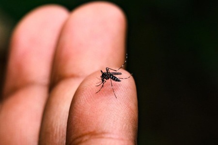 Serranópolis do Iguaçu registra primeiro óbito por dengue