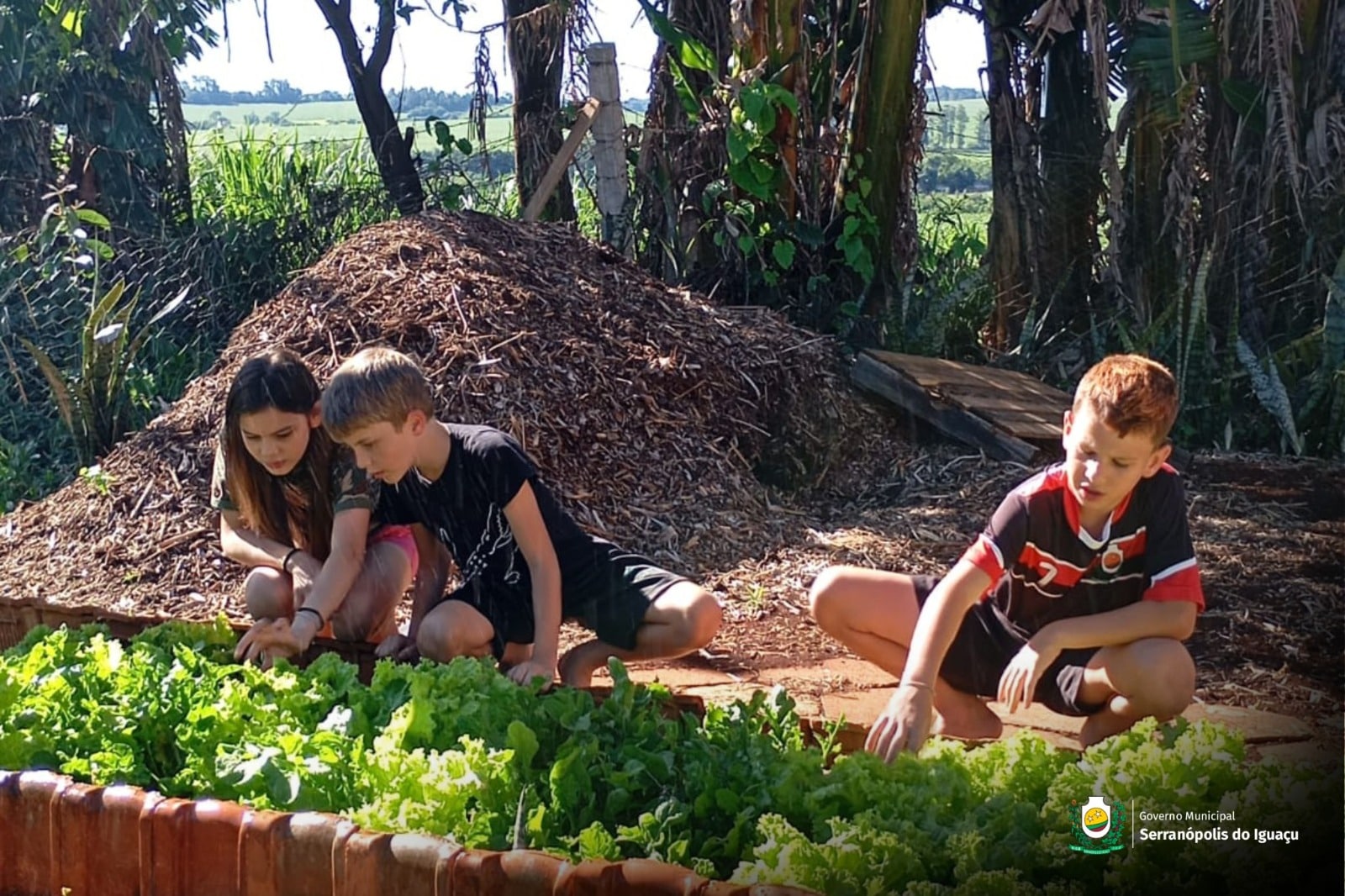 CRAS de Serranópolis do Iguaçu desenvolve projeto de horta com usuários do Serviço de Fortalecimento de Vínculos